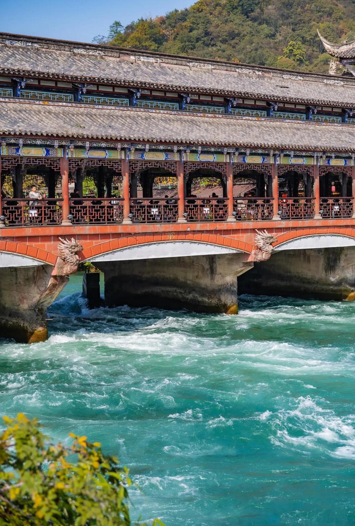Mount Qingcheng and Dujiangyan Day Tour in Chengdu