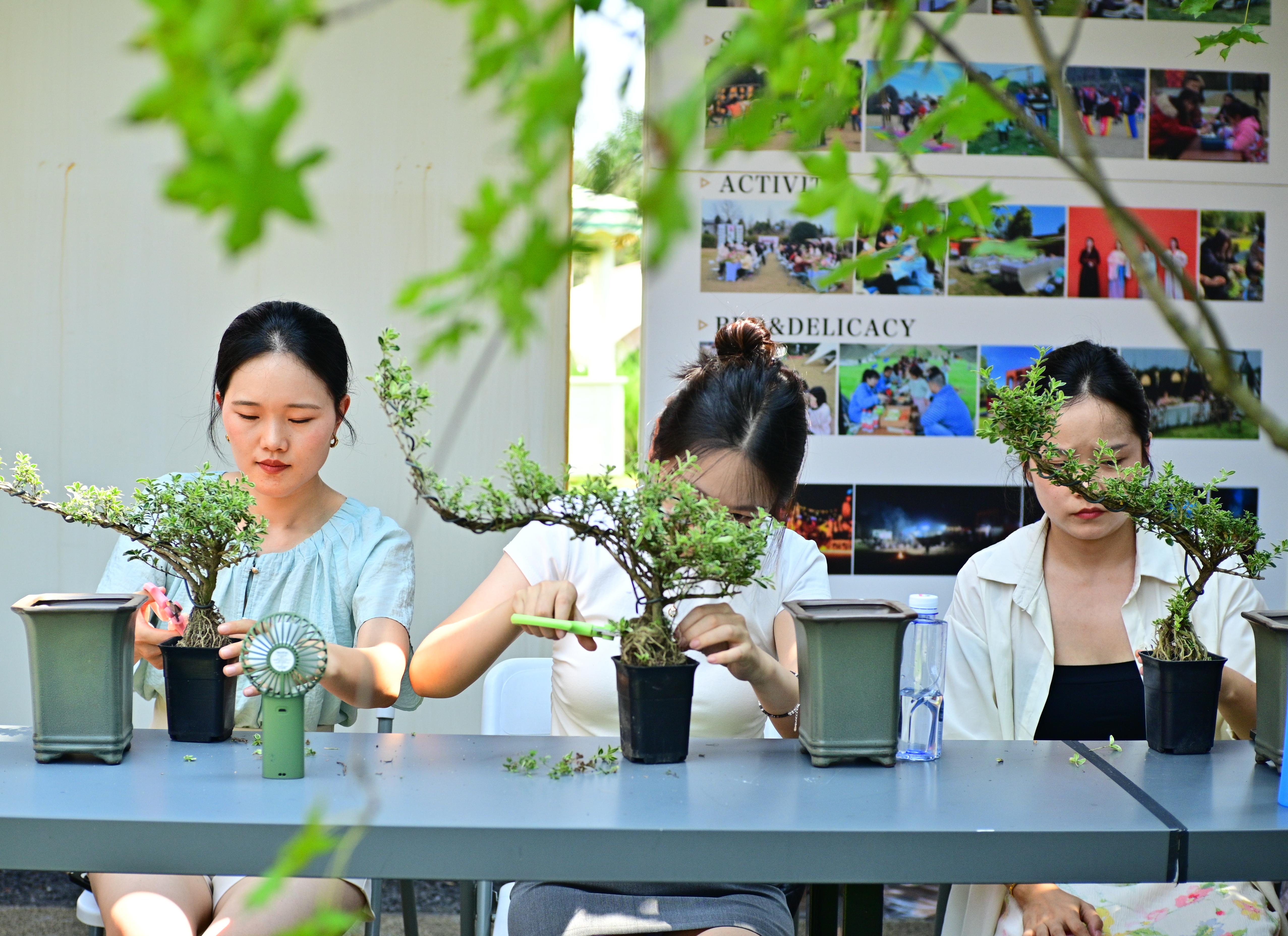 Minjiang Academy: Sichuan Bonsai Making + Dujiangyan World Heritage Day Tour in Chengdu
