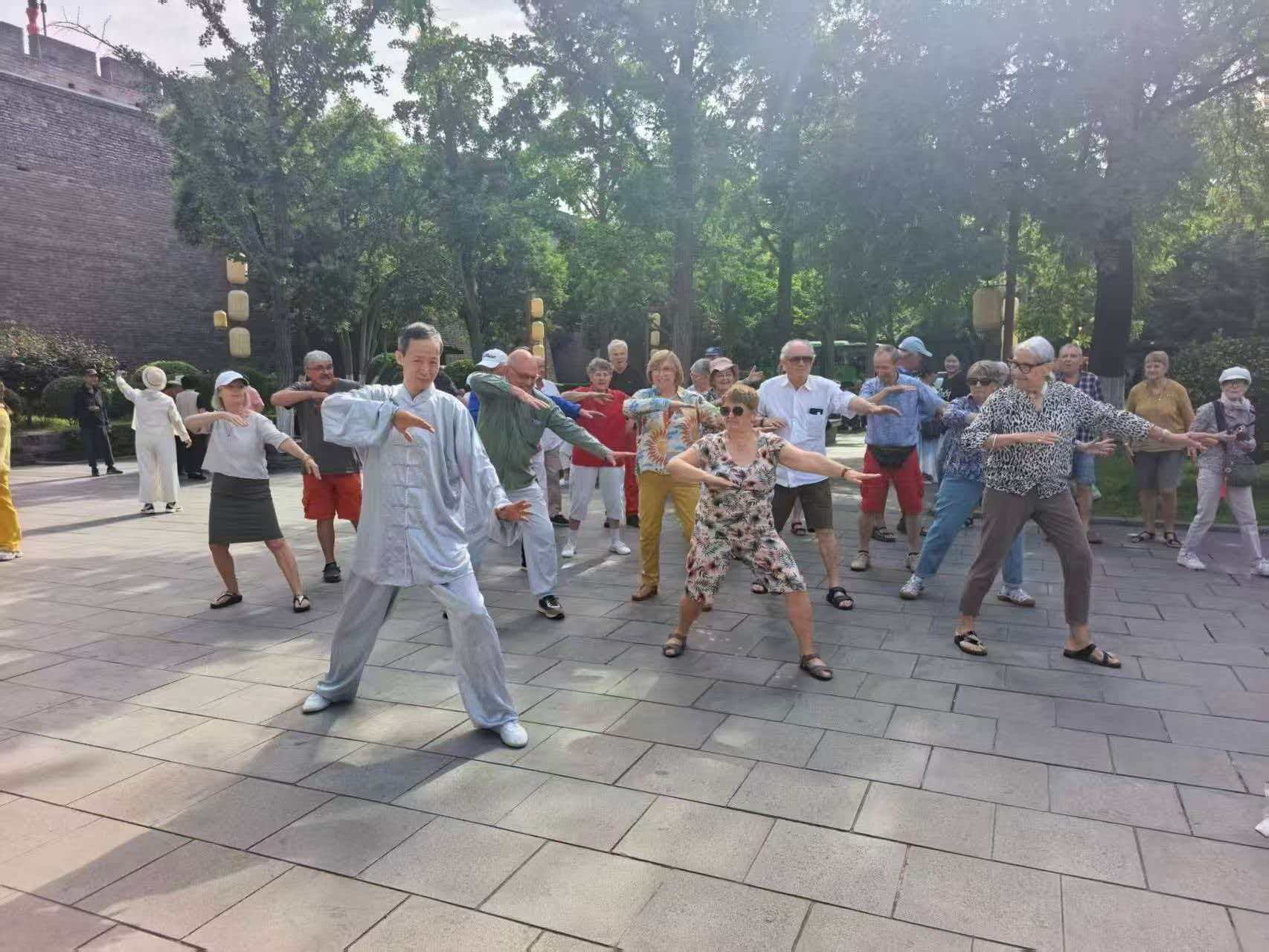 Kung Fu & Tai Chi Experience by the Ancient City Wall in Xi'an
