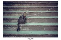 Shangxinjie
