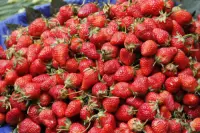Daguan Zhuanxin Farmers Market