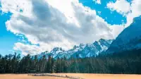 Spruce Meadow