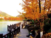 Banyan and Cedar Lakes